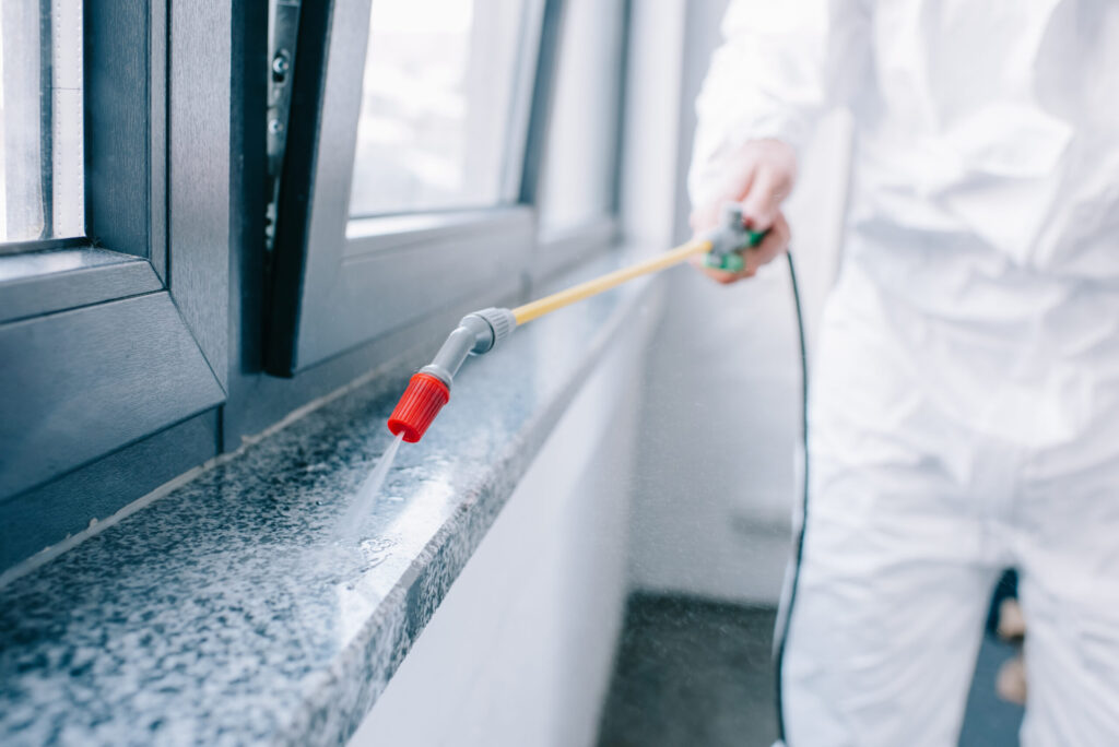 How to Keep Your Home Pest-Free This Spring
